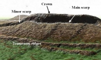 Figure 19.  BOTTOM central mound